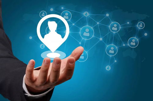 数字时代下网络文化经营的供应链管理反应效率解析