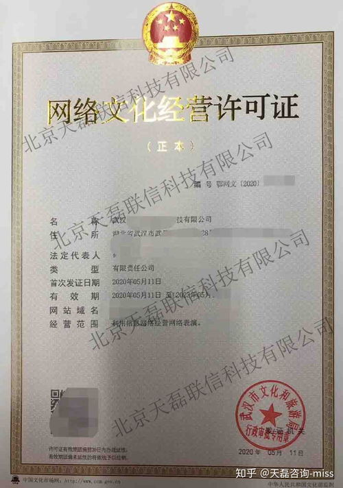 网络文化经营许可证对游戏运营公司的重要意义