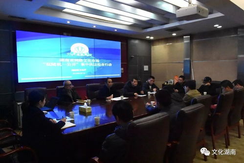 全省网络文化市场开展'双随机一公开'集中执法检查行动